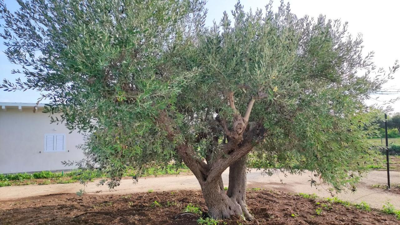 Le Zagare Di Vendicari Βίλα Lido di Noto Εξωτερικό φωτογραφία